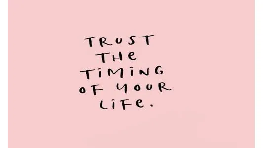 Elixer of Life L'Alchimiste Picture 4