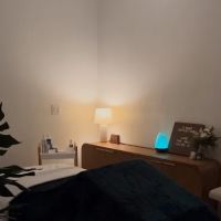 2 Seas Esthetics ico