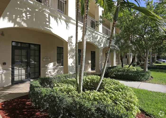 New Day Skin Picture 7