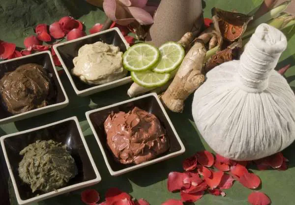 Wild Orchid Spa & Salon Picture 3