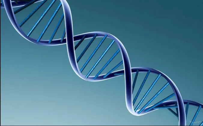 Skin & More Picture 5