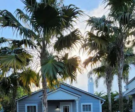 L´esthetique Skin Care