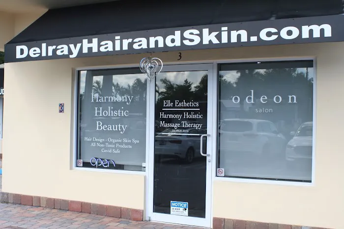 Elle Esthetics, LLC Picture 2