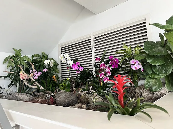 Bluewater Spa at Admirals Cove Picture 5