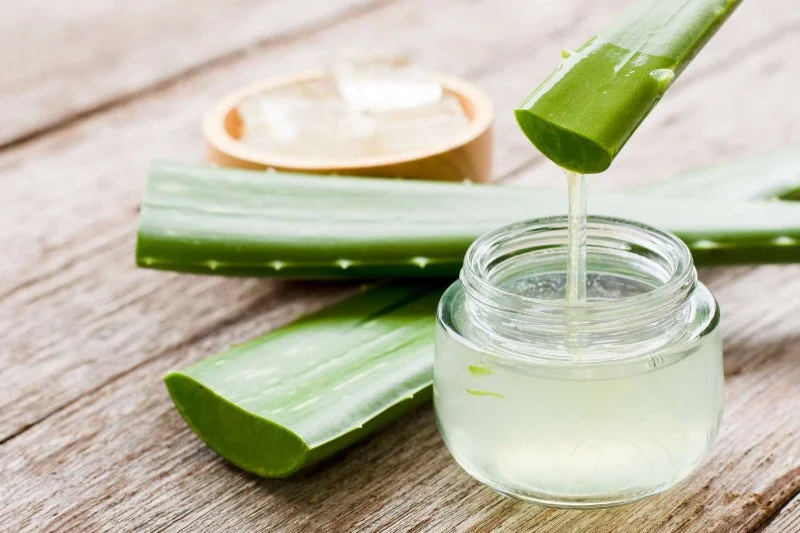 The Benefits of Using Aloe Vera Gel for Skin Healing and Hydration