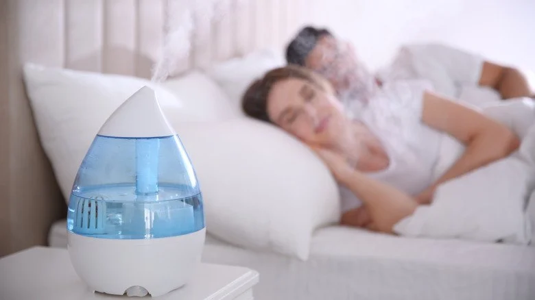 Why You Should Use a Humidifier for Healthier Skin During Winter