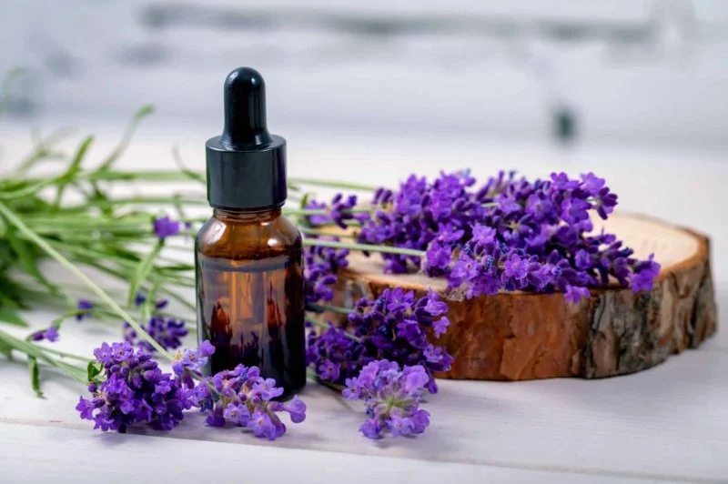 The Benefits of Using Lavender Oil for Your Skin and How to Apply It