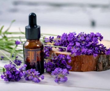 The Benefits of Using Lavender Oil for Your Skin and How to Apply It